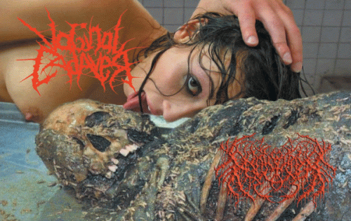 Vaginal Cadaver : Vaginal Cadaver - Padagra